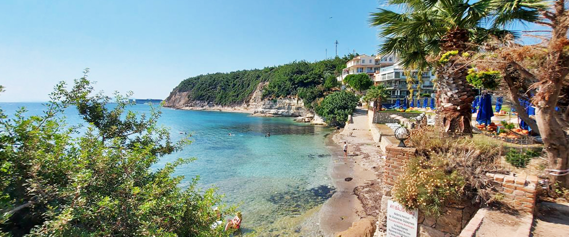 Ayı Balığı Koyu